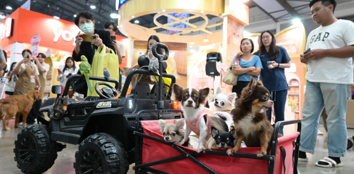 screenshot-2026-03-16-143716-2